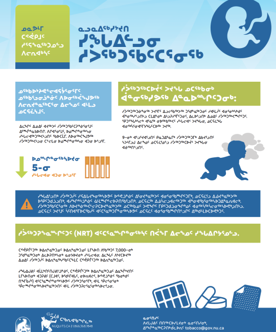 ᓇᓗᓇᐃᖅᓯᔾᔪᑎ ᓯᖓᐃᓪᓗᓂ ᓱᐴᖅᑐᖃᑦᑕᕐᓂᖅ
