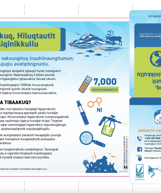 Tibaakuq, Hiluqtautit Avatiliqinikkullu