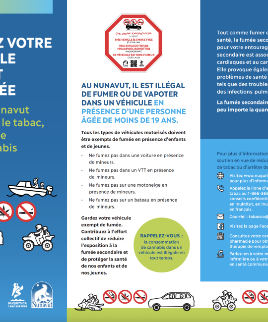 Tobacco and Smoking Act Vehicles With Minors Brochure